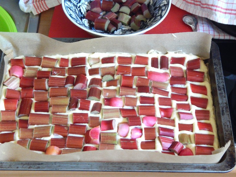 Backen - Kuchen - Schneller Rhababerkuchen - bereit zum Backen