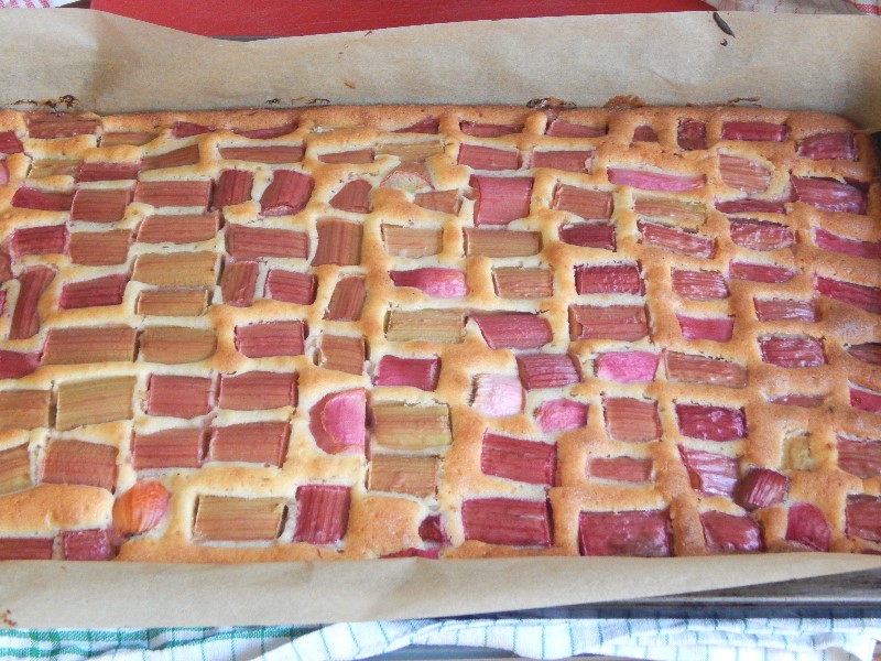 Backen - Kuchen - Schneller Rhababerkuchen - frisch gebacken