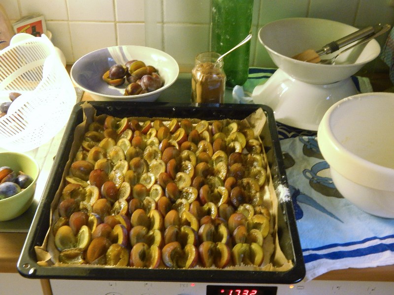 Zwetschenkuchen fertig für den Ofen