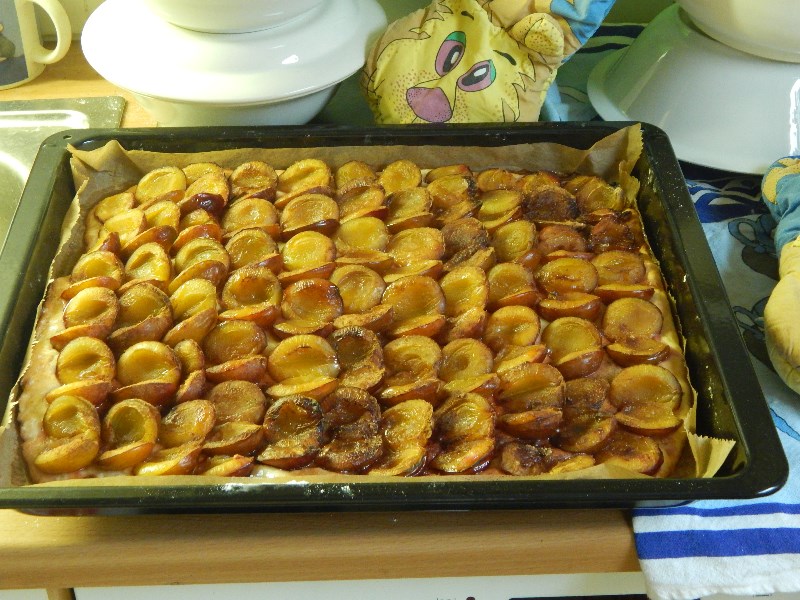 Zwetschenkuchen fertig gebacken