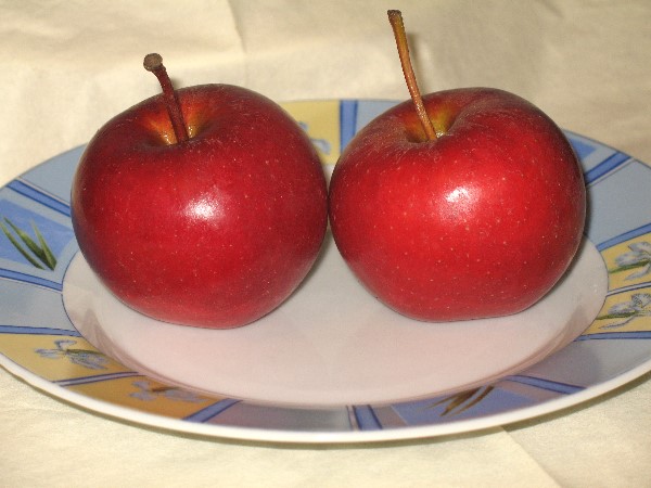 ungesch&auml;lte &Auml;pfel