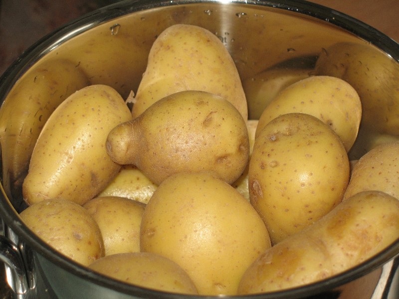 Pellkartoffeln gekocht im Topf