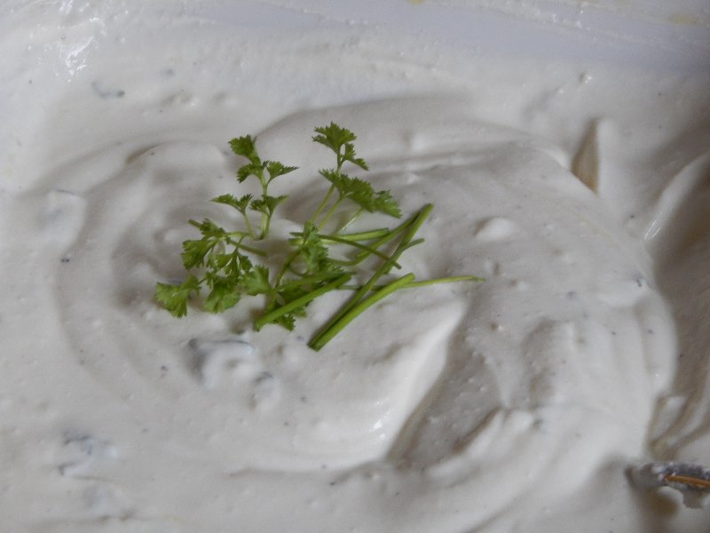 Tzaziki Serviervorschlag Tzaziki Serviervorschlag